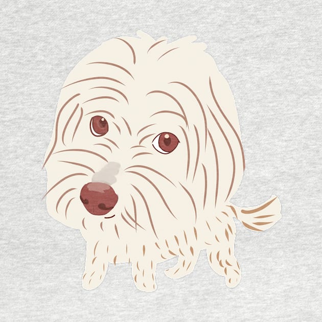 Big Head Maltipoo Dog by PatternbyNOK